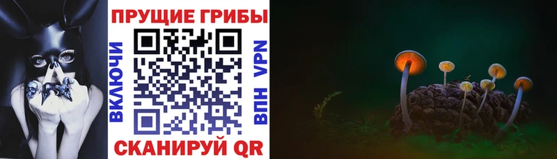 Галлюциногенные грибы Magic Shrooms  Гаджиево 
